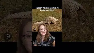 ESS Pangolins