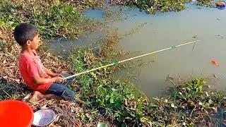 Best Fishing video 2023 || Incredible Amazing Boy Hook Fishing With Plastic Box in Village River