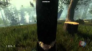 The Forest - Sound Distortion Issue
