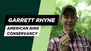 Badgerland Birding Podcast Ep 104 - Tracking Birds using Motus - With Garrett Rhyne