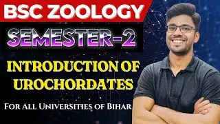 Introduction of Urochordates | Diversity of Chordates | BSc Zoology Semester-2 | Vidya Sir