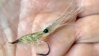 FlyTying - Easy SummerShrimp - SbS-Tutorial