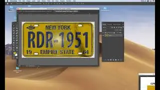 LICENSEPLATE P1