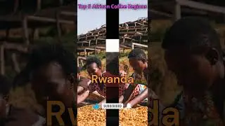 Top 5 African Coffee Regions #africa #coffee #africanews #top5 #top10 #agriculture #facts