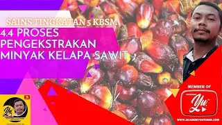 Proses Pengekstrakan Minyak Kelapa Sawit  #ScienceisAwesome #CikguPadil #SPM #KBSM #KSSM