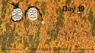 Two Fat Guys On The Internet - Oxidation Nation