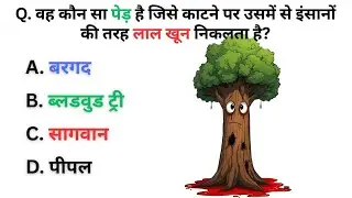 GK in Hindi | GK Question | GK Question and Answer | GK Quiz