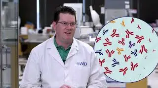 Texas Immunodiagnostics Lab Adopts Innovative Test to Improve Transplant Outcomes