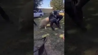 Police got their Boots on the Ground