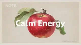 24/7  Chill House for a Calm Focus | NOTE. LIVE