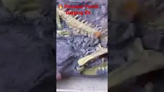 🔥Winning Product Today: Dinosaur Fossil Digging Kit 😻More In Bio😻