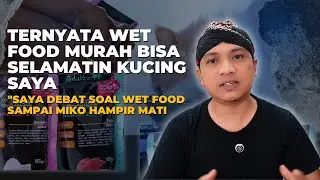 Jangan Kasih Wet Food ke Kucing! Kecuali Kamu Sudah Nonton Video Ini!