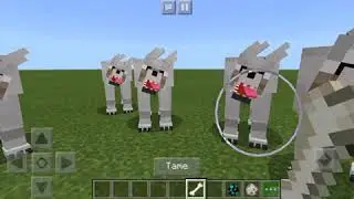 MINECRAFT MUTANT WOLF VS HEROBRINE AND SHOUTOUTS