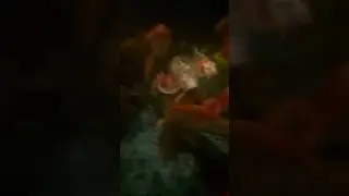 Koi fish Underwater View.