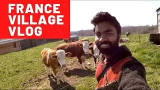 Indian Living in French Village | France Europe Life Vlog