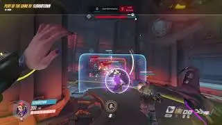Ult economy?