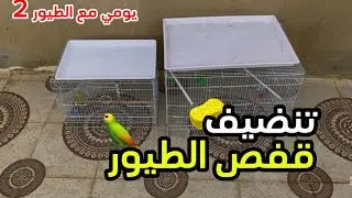 يومي مع الطيور 2🦜 يوم التنظيف 🧽 العميق👌🏻