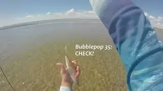 Illawong Beach Whiting Lure Challenge!