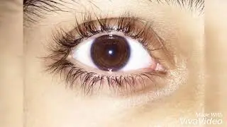 Subliminal results within 16 days using Quadible Integrity
