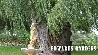 Relaxing Garden Walk #03 - Edwards Gardens
