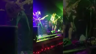 The Trip live at the Freedom Gathering of the Tribe 2020