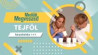 A nagy tejf&ouml;lteszt: magasan verte a mezőnyt az egyik term&eacute;k!🥛