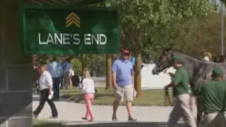 Before the Hammer: Lane's End Farm