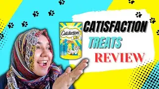 Level Up Your Cat's Happiness with Catisfaction Treats || Cat Treats Review