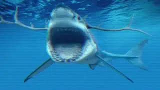 AAAAAANTLER SHARK