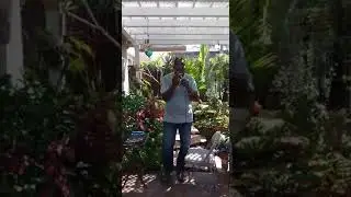 NEUTRAL NEWS /// ADDY RICHARDSON singing SWEET CAROLINE