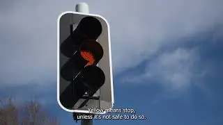 International Traffic Light Day