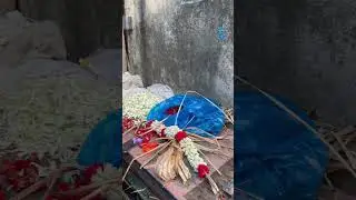 Tamil Man Making a Jazmin Rose Flowers Garland 🍃🌺🍃 Jambukeshwarar Temple ( October 2nd, 2023 )