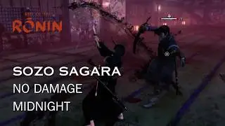 Rise of the Ronin - Sozo Sagara, Dojo No Damage Master Rank (Midnight)