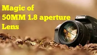 CANON 70D WITH 50MM f/1.8 LENS- LIGHT CAMERA AND CLICK