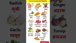 Roots Vegetable Name in English and Hindi//Vegetables Vocabulary जड़ों की सब्जियों के नाम//