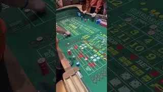Going MASSIVE on the field bet. #money #casino #comedy #gambling #craps