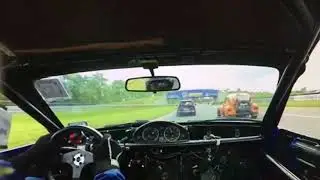 lemons beetle acceleration