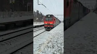 2ЭС6-1512 с контейнерным грузовым поездом следует мимо о.п. Цемгигант