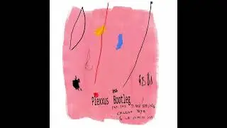 Erlend &Oslash;ye & La Comitiva   For the Time Being Plexxus Bootleg