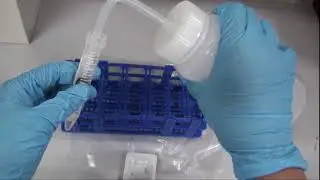Heavy Metal Analysis Using ICP-MS Sample Preparation (Hair)