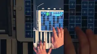 SWAM Violin Audio Modeling GeoShred on iPad 🔥DISCOUNT DESKTOP VERSION #swam #audiomodeling #geoshred