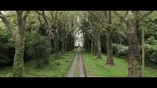 Wachtberg By Drone -- May 2024