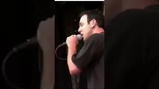 Bad Religion Rocks Pinkpop &rsquo;95 &mdash; Punk Energy Unleashed! ⚡🎸 #BadReligion #Pinkpop