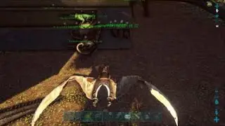 Wildtard undermapping