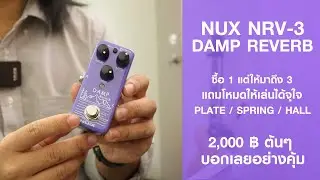 Reverb ราคา 2000 ต้นๆ ที่โครตคุ้ม NUX NRV-3 DAMP REVERB