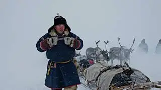 Life With the Reindeer | How the S&aacute;mi Survive the Arctic North