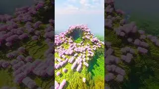 🤔Какой сид лучше 🤔 Майнкрафт сиды #minecraft #sid #shorts