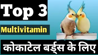 Multivitamin For Birds | Breeding Time Multivitamin