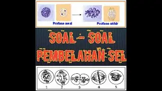 Soal dan Pembahasan Pembelahan Sel - 12 SMA