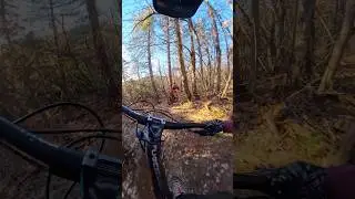 En roue libre au Bourdelles | Part 6 #mtblife #insta360 #exploration #forest #freeride #shorts